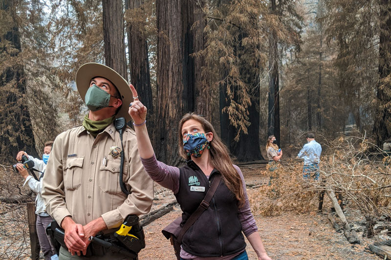 Land Director Laura McLendon surveys Big Basin State Park with Rangers after the CZU Fire.