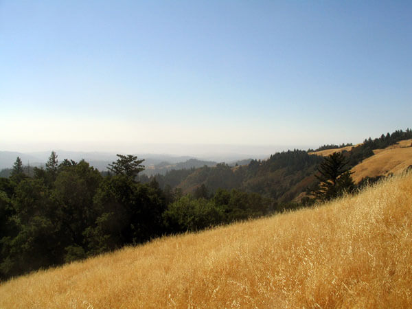 Long Ridge Open Space Preserve by David Baron