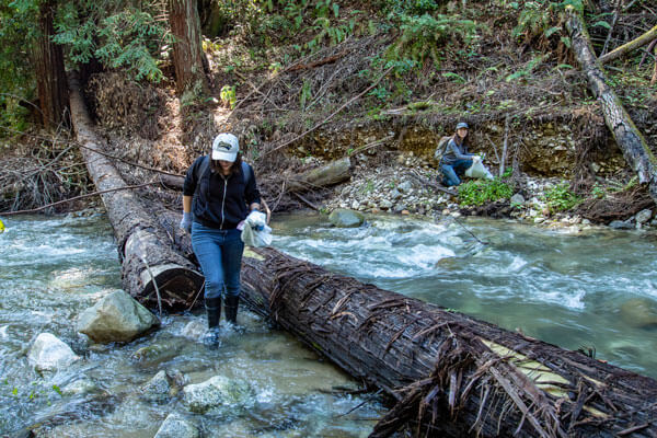 Sempervirens Fund stewards manage the land to help nature thrive. by Ian Bornarth