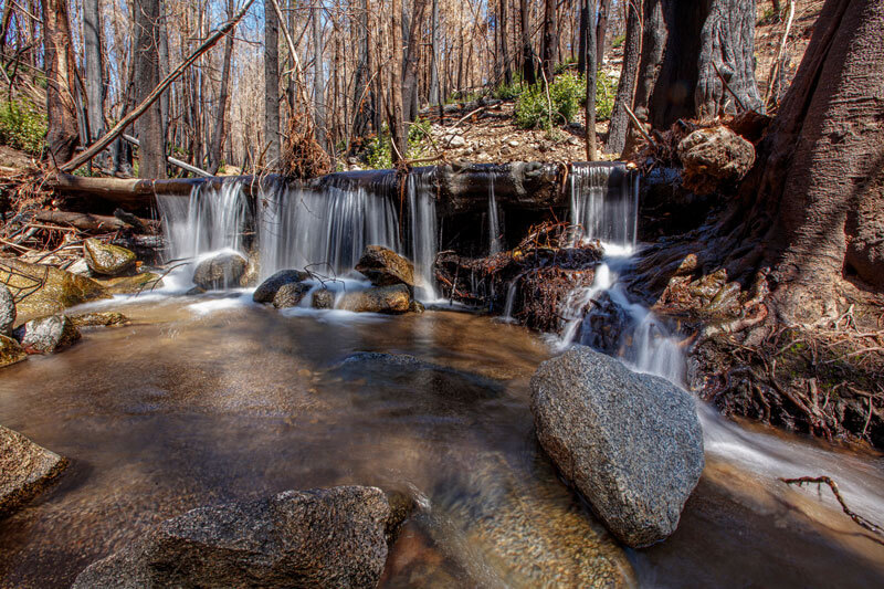 San Vicente Big Creek After Fire By Ian Bornarth