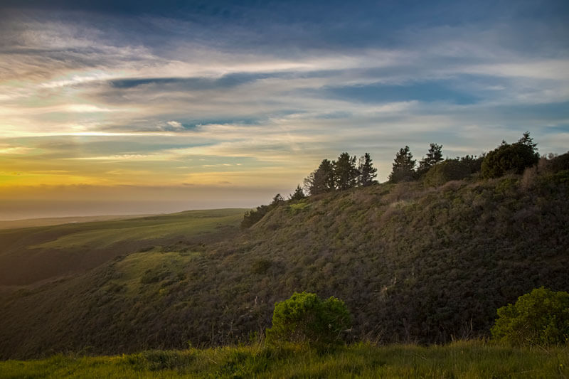 San Vicente Creek Restoring A Stronghold Coast Dairies By R Rymer