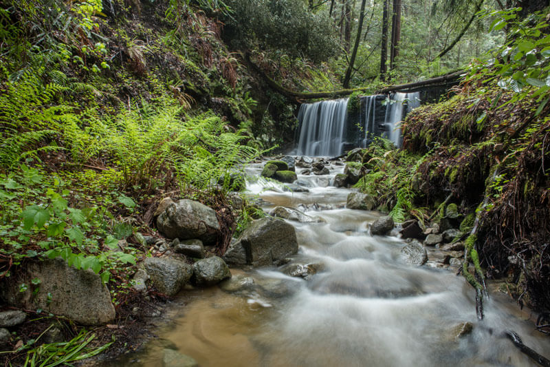 San Vicente Creek Restoring A Stronghold Mill Creek Dam By Ian Bornarth