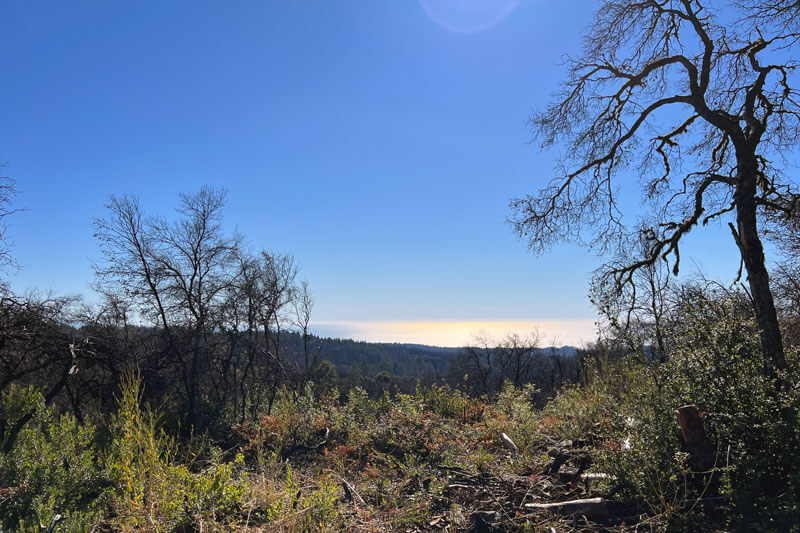 Visit San Vicente Redwoods Vista Point Pacific Ocean By Amanda Krauss